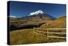 Cotopaxi National Park, Snow-Capped Cotopaxi Volcano-John Coletti-Stretched Canvas