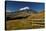 Cotopaxi National Park, Snow-Capped Cotopaxi Volcano-John Coletti-Stretched Canvas