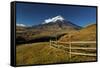 Cotopaxi National Park, Snow-Capped Cotopaxi Volcano-John Coletti-Framed Stretched Canvas