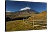 Cotopaxi National Park, Snow-Capped Cotopaxi Volcano-John Coletti-Stretched Canvas