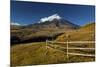 Cotopaxi National Park, Snow-Capped Cotopaxi Volcano-John Coletti-Mounted Premium Photographic Print
