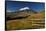 Cotopaxi National Park, Snow-Capped Cotopaxi Volcano-John Coletti-Framed Stretched Canvas