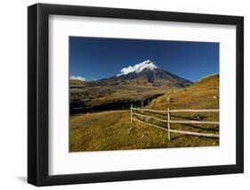 Cotopaxi National Park, Snow-Capped Cotopaxi Volcano-John Coletti-Framed Photographic Print