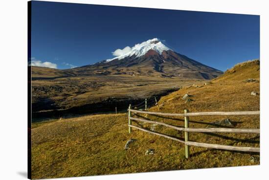 Cotopaxi National Park, Snow-Capped Cotopaxi Volcano-John Coletti-Stretched Canvas