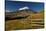 Cotopaxi National Park, Snow-Capped Cotopaxi Volcano-John Coletti-Stretched Canvas