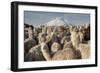 Cotopaxi Volcano and Alpacas, Cotopaxi National Park, Andes, Ecuador-Pete Oxford-Framed Photographic Print