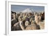 Cotopaxi Volcano and Alpacas, Cotopaxi National Park, Andes, Ecuador-Pete Oxford-Framed Photographic Print