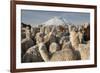 Cotopaxi Volcano and Alpacas, Cotopaxi National Park, Andes, Ecuador-Pete Oxford-Framed Photographic Print