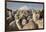 Cotopaxi Volcano and Alpacas, Cotopaxi National Park, Andes, Ecuador-Pete Oxford-Framed Photographic Print