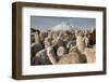 Cotopaxi Volcano and Alpacas, Cotopaxi National Park, Andes, Ecuador-Pete Oxford-Framed Photographic Print