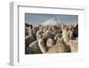 Cotopaxi Volcano and Alpacas, Cotopaxi National Park, Andes, Ecuador-Pete Oxford-Framed Photographic Print