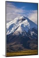 Cotopaxi Volcano Glacier Covered 5897M Summit, Cotopaxi National Park, Cotopaxi Province, Ecuador-Matthew Williams-Ellis-Mounted Photographic Print