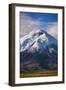 Cotopaxi Volcano Glacier Covered 5897M Summit, Cotopaxi National Park, Cotopaxi Province, Ecuador-Matthew Williams-Ellis-Framed Photographic Print