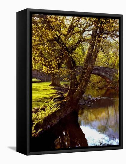 Cotswold Bridge-Jody Miller-Framed Stretched Canvas