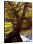 Cotswold Bridge-Jody Miller-Stretched Canvas