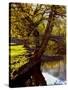 Cotswold Bridge-Jody Miller-Stretched Canvas