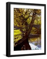 Cotswold Bridge-Jody Miller-Framed Photographic Print