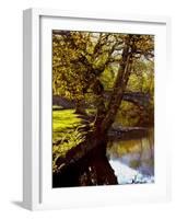 Cotswold Bridge-Jody Miller-Framed Photographic Print