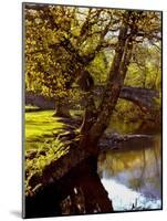 Cotswold Bridge-Jody Miller-Mounted Photographic Print