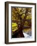 Cotswold Bridge-Jody Miller-Framed Premium Photographic Print