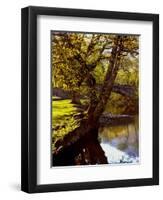 Cotswold Bridge-Jody Miller-Framed Premium Photographic Print