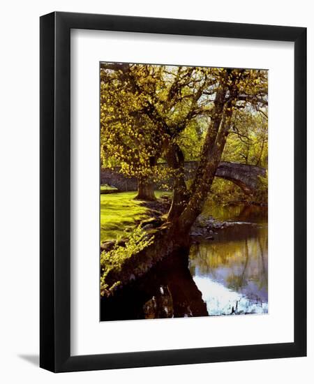 Cotswold Bridge-Jody Miller-Framed Premium Photographic Print