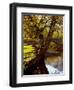 Cotswold Bridge-Jody Miller-Framed Premium Photographic Print