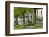 Cotswold Cottages Along the Hill, Burford, Oxfordshire, England, United Kingdom, Europe-Stuart Black-Framed Photographic Print