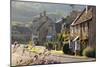 Cotswold Cottages, Broadway, Worcestershire, Cotswolds, England, United Kingdom, Europe-Stuart Black-Mounted Photographic Print