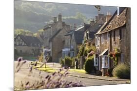 Cotswold Cottages, Broadway, Worcestershire, Cotswolds, England, United Kingdom, Europe-Stuart Black-Mounted Photographic Print