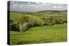 Cotswold Landscape, Near Winchcombe, Cotswolds, Gloucestershire, England, United Kingdom, Europe-Stuart Black-Stretched Canvas