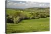 Cotswold Landscape, Near Winchcombe, Cotswolds, Gloucestershire, England, United Kingdom, Europe-Stuart Black-Stretched Canvas