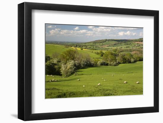 Cotswold Landscape, Near Winchcombe, Cotswolds, Gloucestershire, England, United Kingdom, Europe-Stuart Black-Framed Photographic Print