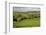 Cotswold Landscape, Near Winchcombe, Cotswolds, Gloucestershire, England, United Kingdom, Europe-Stuart Black-Framed Photographic Print