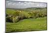 Cotswold Landscape, Near Winchcombe, Cotswolds, Gloucestershire, England, United Kingdom, Europe-Stuart Black-Mounted Photographic Print