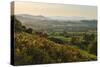 Cotswold Landscape with View to Malvern Hills-Stuart Black-Stretched Canvas