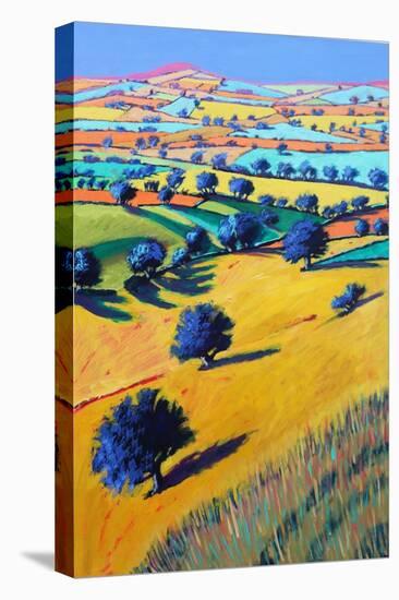 Cotswold Valley, 2021 (acrylic on board)-Paul Powis-Stretched Canvas