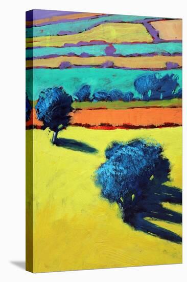 Cotswold Way close up 1-Paul Powis-Stretched Canvas