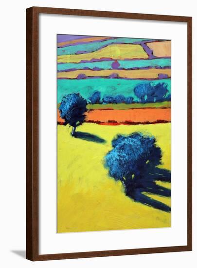 Cotswold Way close up 1-Paul Powis-Framed Giclee Print