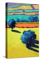 Cotswold Way close up 1-Paul Powis-Stretched Canvas