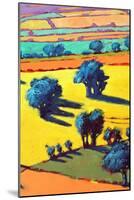 Cotswold Way close up 2-Paul Powis-Mounted Giclee Print