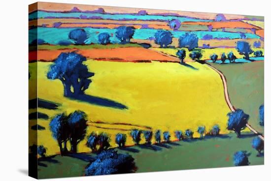 Cotswold Way close up-Paul Powis-Stretched Canvas