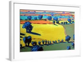 Cotswold Way close up-Paul Powis-Framed Giclee Print