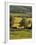 Cotswolds, England-Jon Arnold-Framed Photographic Print