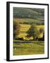 Cotswolds, England-Jon Arnold-Framed Photographic Print