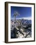 Cotswolds, England-Walter Bibikow-Framed Photographic Print