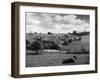 Cotswolds Scenery-null-Framed Photographic Print