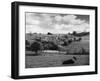 Cotswolds Scenery-null-Framed Photographic Print