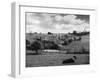 Cotswolds Scenery-null-Framed Photographic Print