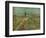 'Cottage Among Fields', c1890-Vincent van Gogh-Framed Giclee Print